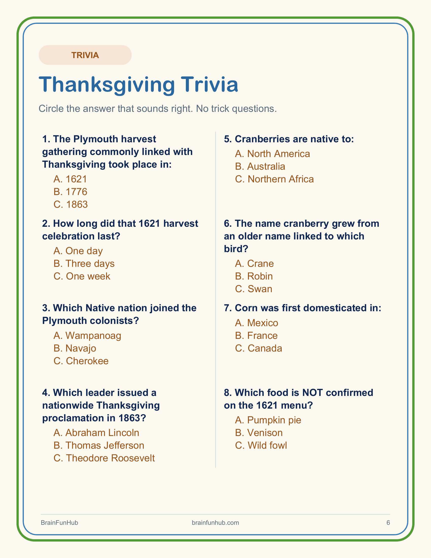 Thanksgiving Activity Puzzles: 16 Large Print Puzzles & Activities thumbnail 4