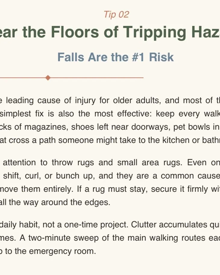 A Caregiver's Guide to 20 Home Safety Tips for the People You Love preview 2