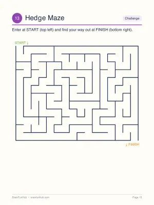 The Big Book of Brain Fun: 32 Large Print Puzzles and Activities thumbnail 6