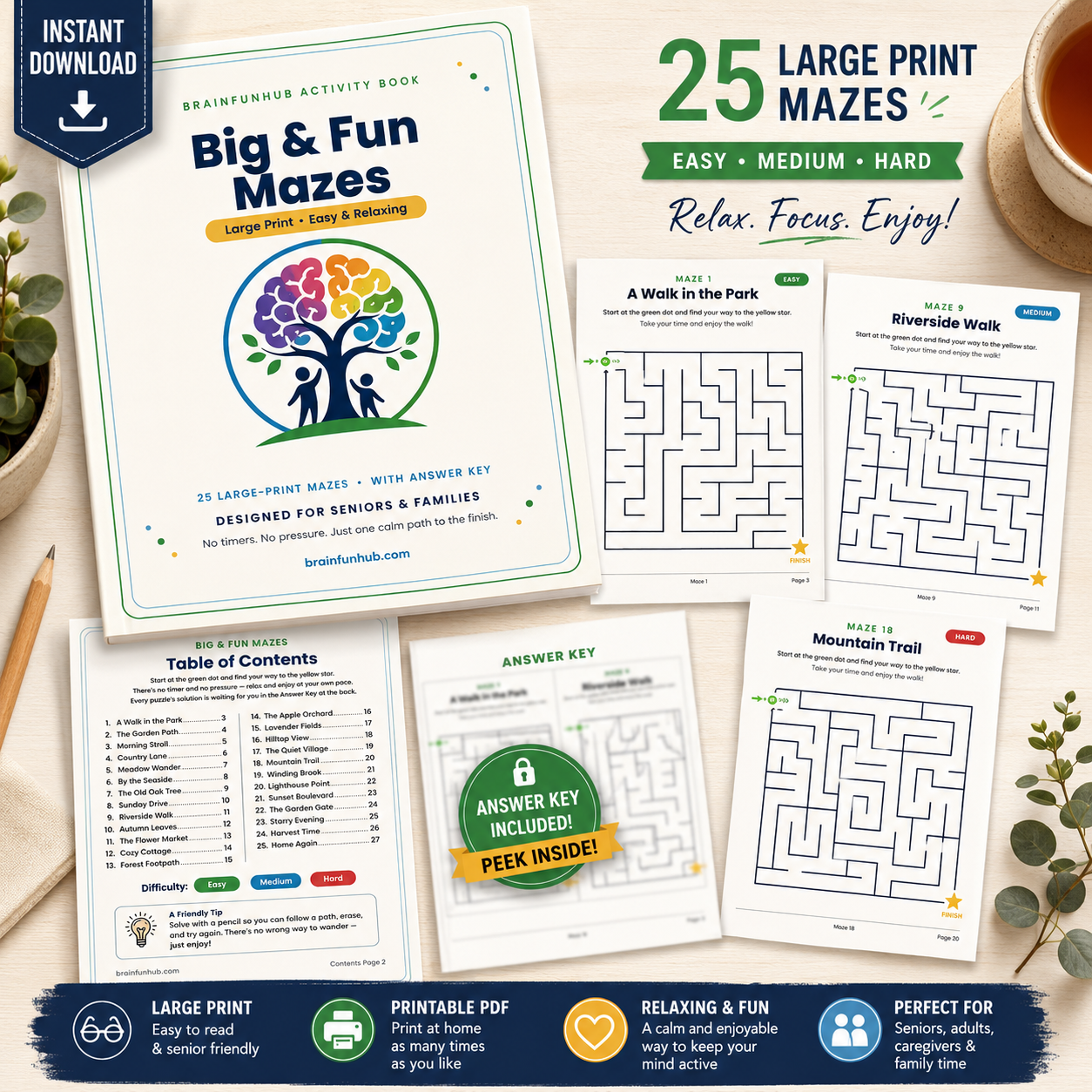 Big & Fun Mazes: Large Print Activity Book (25 Mazes with Answer Key) — printable PDF preview