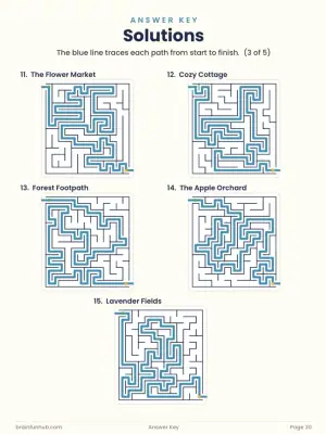 Big & Fun Mazes: Large Print Activity Book (25 Mazes with Answer Key) thumbnail 6