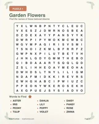 Large Print Word Search Pack: Garden Theme (3 Puzzles) thumbnail 2