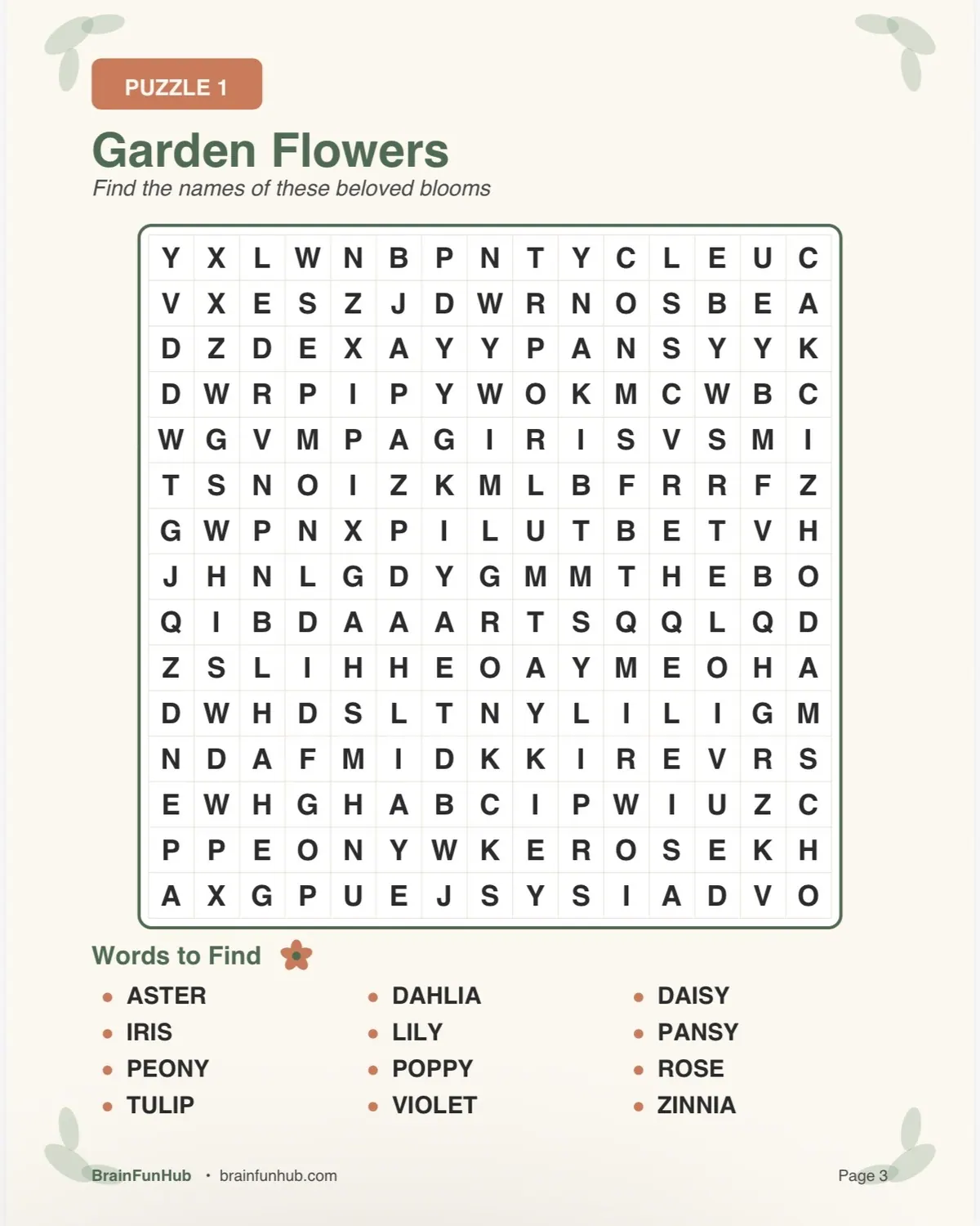 Large Print Word Search Pack: Garden Theme (3 Puzzles) preview 2